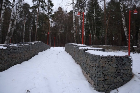 У ВИШНЯКОВСКОГО ПРУДА БУДЕТ "ПАРК В ЛЕСУ"🌳
В Балашихе продолжается масштабная работа по благоустройству..