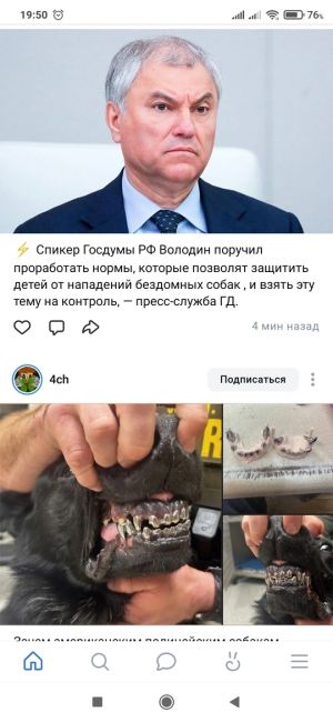 ⚡️ Спикер Госдумы РФ Володин поручил проработать нормы, которые позволят защитить детей от нападений..