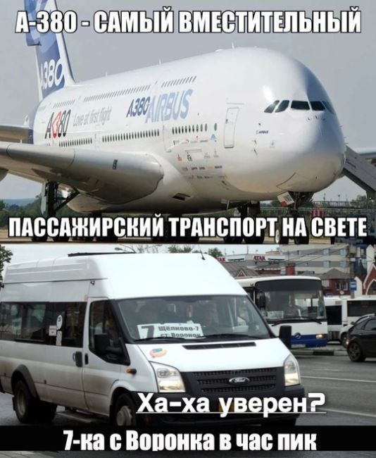 Как оцениваете общественный транспорт в Щелково  Есть еще проблемные..